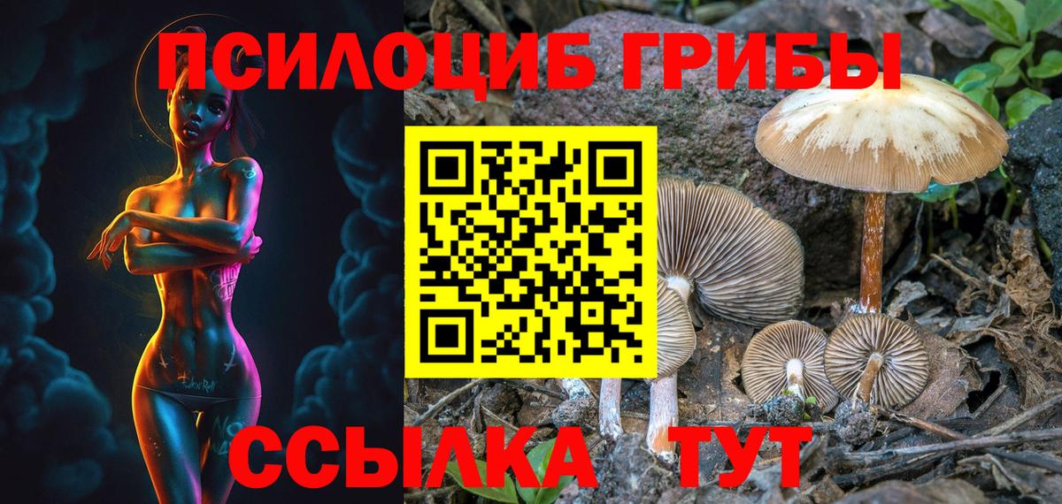 Зерноград  Псилоцибиновые грибы мухоморы  Псилоцибиновые грибы MAGIC MUSHROOMS  Вход с VPN 